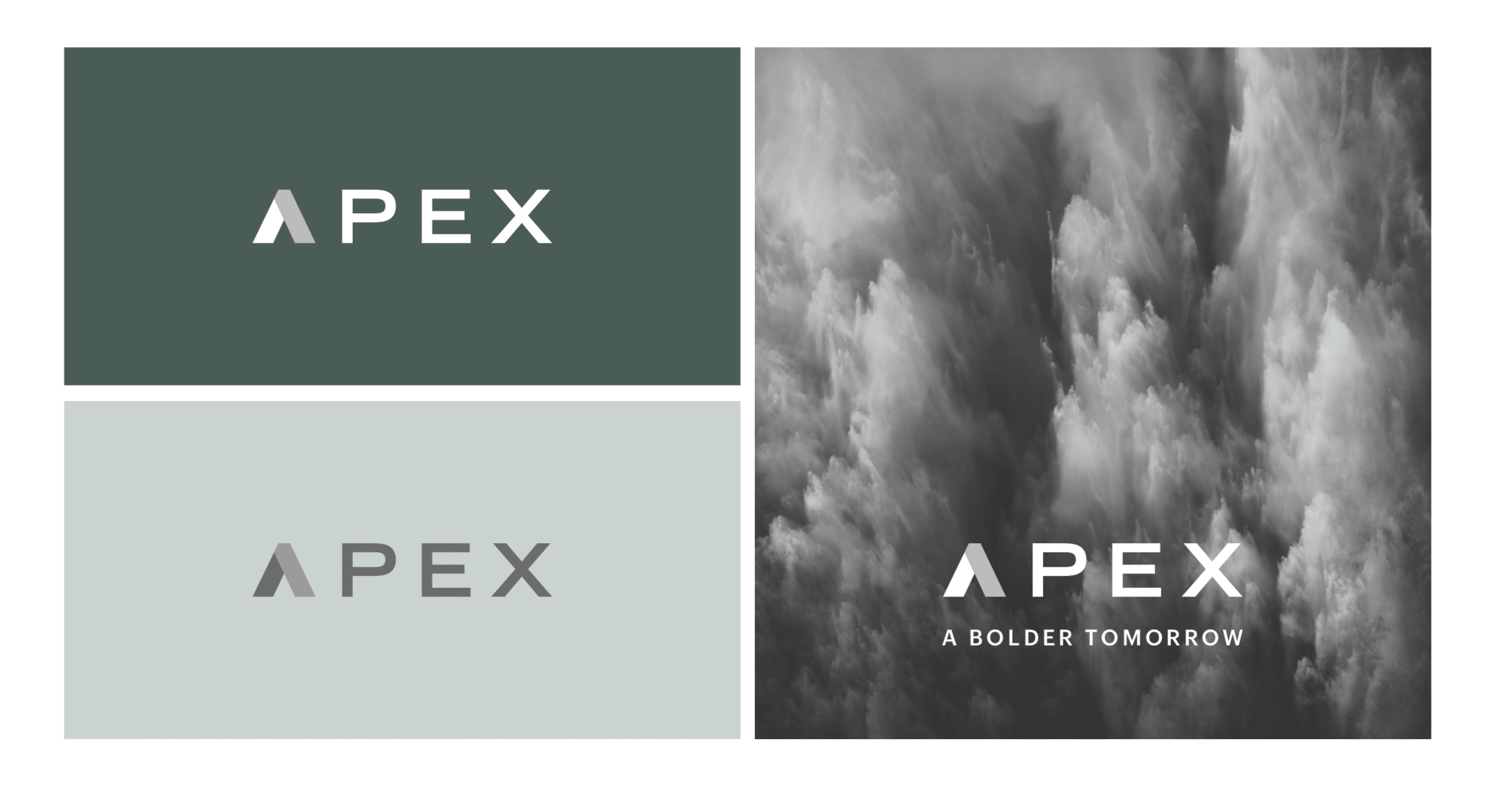 APEX Logo Design