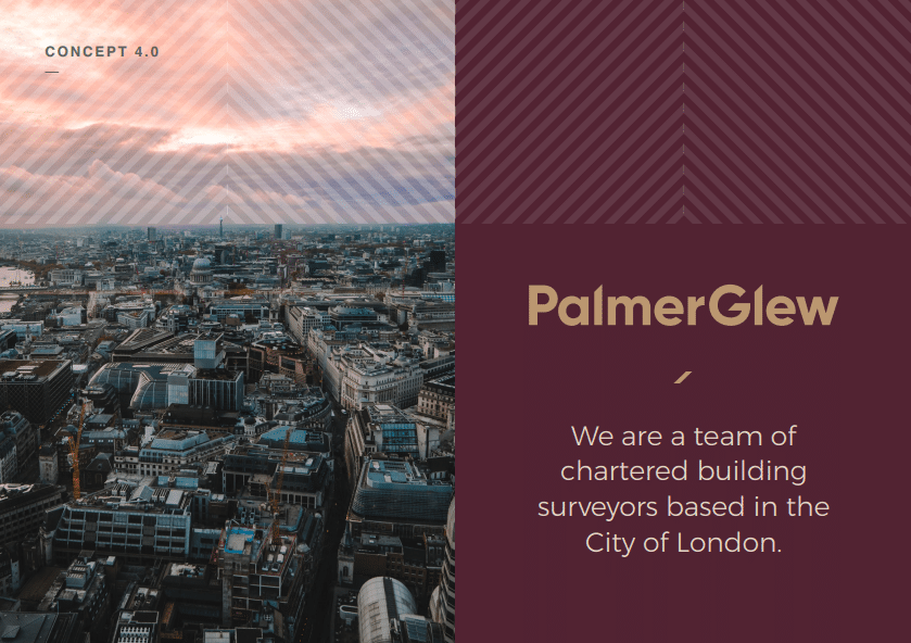 Palmer Glew - Brand concept 4